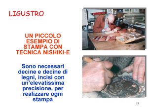 presentazione-di-ligustro_pagina_17