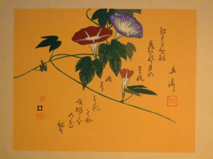 1-tir-colori-originali