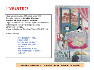 presentazione-di-ligustro_pagina_11