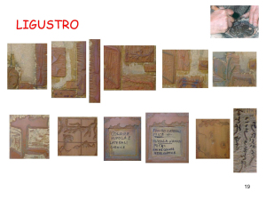 presentazione-di-ligustro_pagina_19