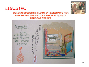 presentazione-di-ligustro_pagina_20