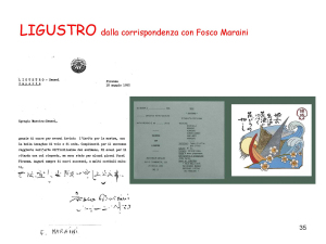 presentazione-di-ligustro_pagina_35