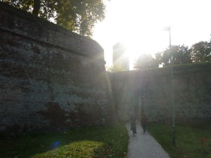 Lucca e i Comics-1 novembre 2011