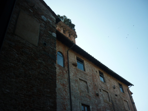 lucca-e-i-comics-1-novembre-2011-147