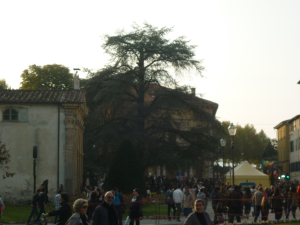 lucca-e-i-comics-1-novembre-2011-274